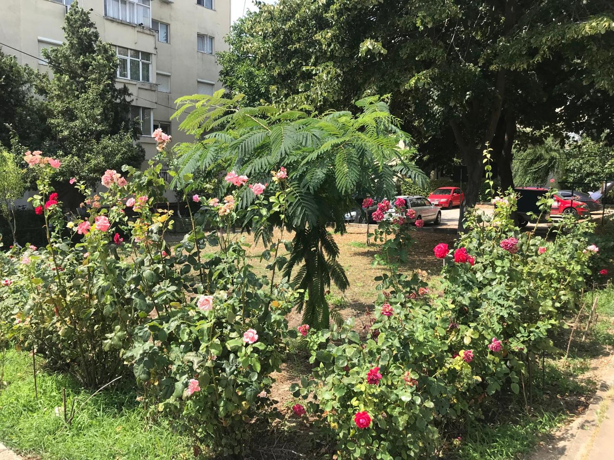 Apartament Langa Plaja Diana 曼加利亚 外观 照片