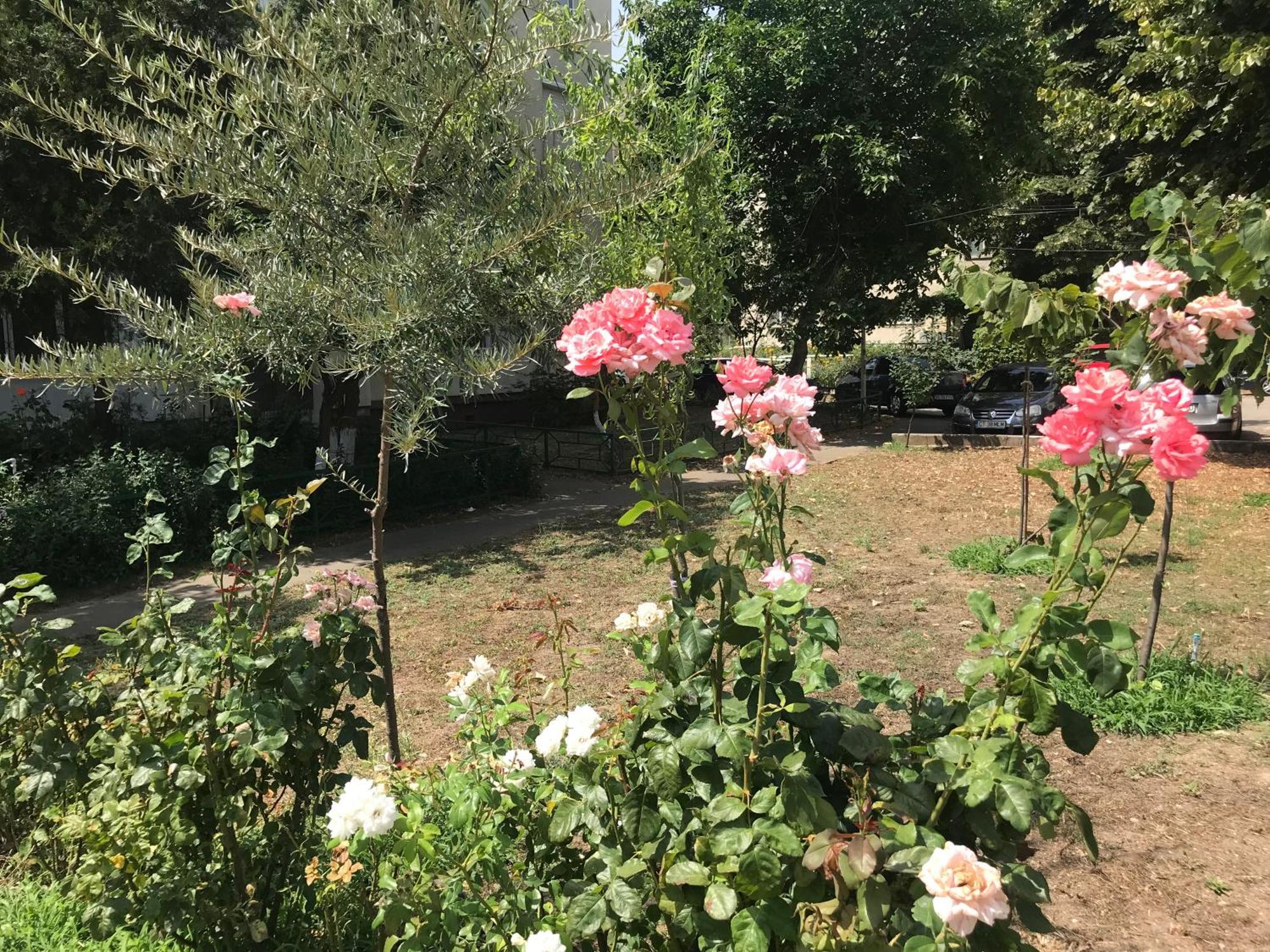 Apartament Langa Plaja Diana 曼加利亚 外观 照片